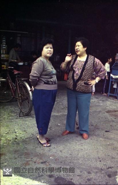 1950至2006年臺灣常民生活藏品圖，第1張