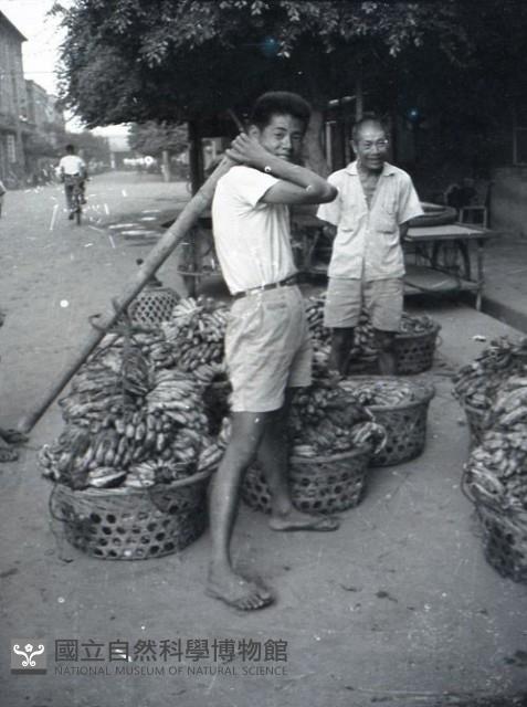 1950至2006年臺灣常民生活藏品圖，第1張