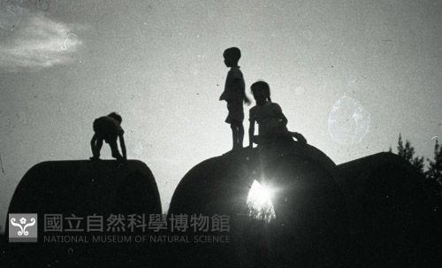 1950至2006年臺灣常民生活藏品圖，第1張