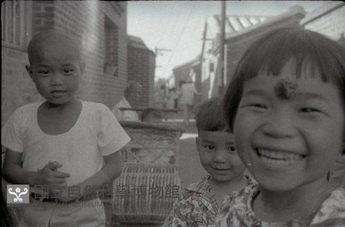 1950至2006年臺灣常民生活藏品圖，第1張