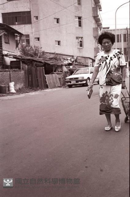 1950至2006年臺灣常民生活藏品圖，第1張