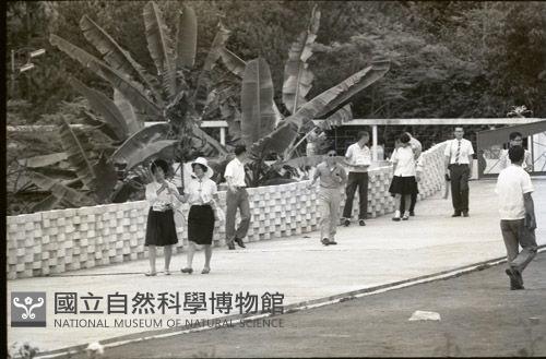 1950至2006年臺灣常民生活藏品圖，第1張