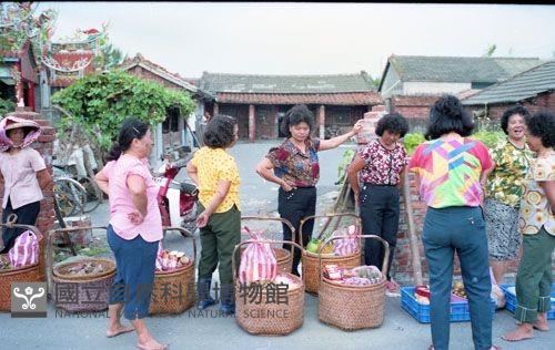 1950至2006年臺灣常民生活藏品圖，第1張