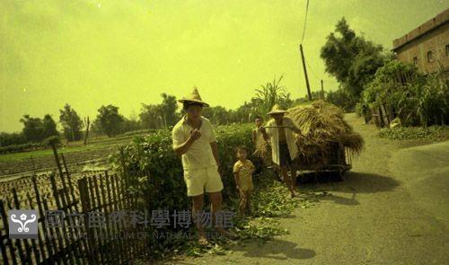 1950至2006年臺灣常民生活藏品圖，第1張