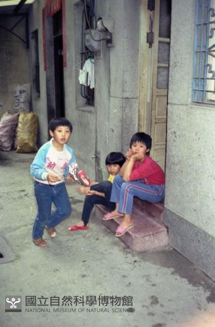 1950至2006年臺灣常民生活藏品圖，第1張