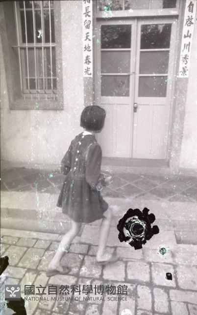 1950至2006年臺灣常民生活藏品圖，第1張