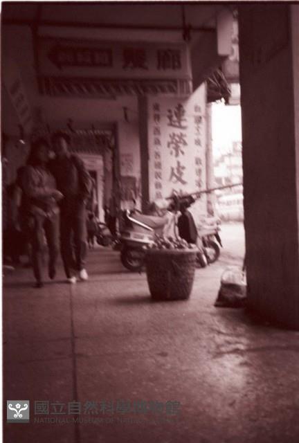 1950至2006年臺灣常民生活藏品圖，第1張
