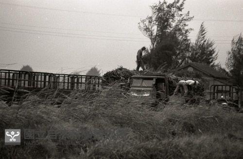 1950至2006年臺灣常民生活藏品圖，第1張