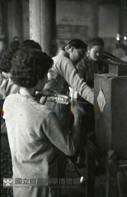 1950至2006年臺灣常民生活藏品圖，第1張