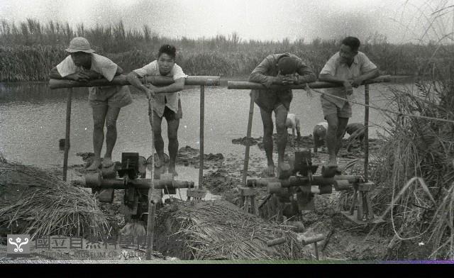 1950至2006年臺灣常民生活藏品圖，第1張