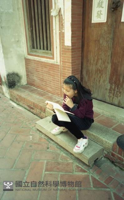 1950至2006年臺灣常民生活藏品圖，第1張