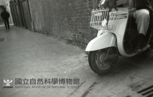 1950至2006年臺灣常民生活藏品圖，第1張