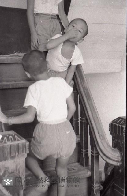 1950至2006年臺灣常民生活藏品圖，第1張