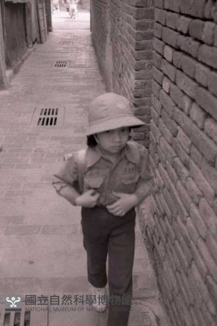 1950至2006年臺灣常民生活藏品圖，第1張