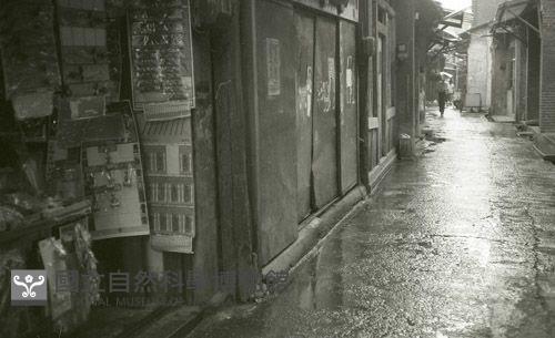1950至2006年臺灣常民生活藏品圖，第1張