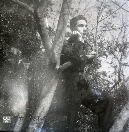 1950至2006年臺灣常民生活藏品圖，第1張
