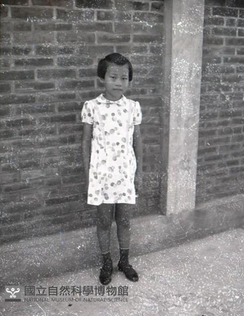 1950至2006年臺灣常民生活藏品圖，第1張