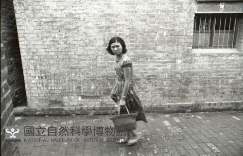 1950至2006年臺灣常民生活藏品圖，第1張