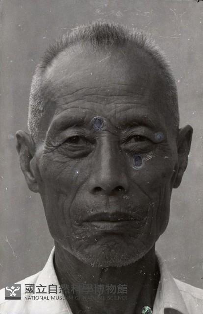 1950至2006年臺灣常民生活藏品圖，第1張