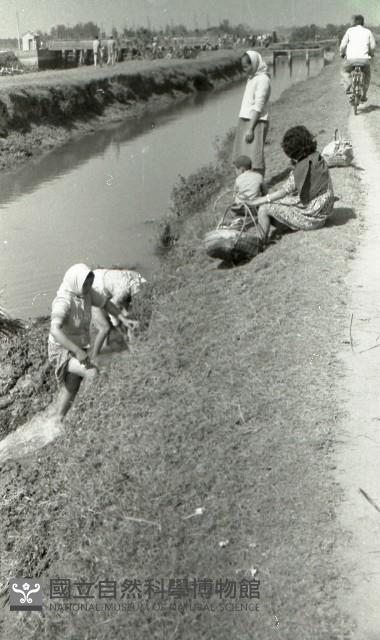 1950至2006年臺灣常民生活藏品圖，第1張