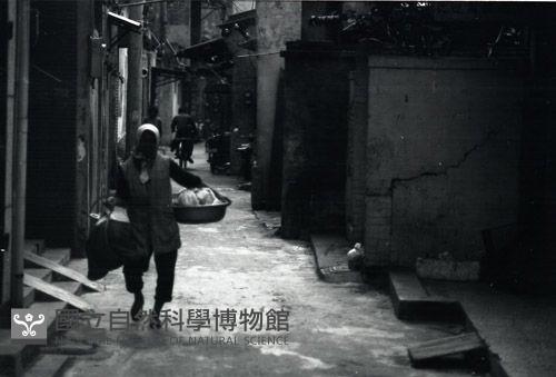 1950至2006年台灣常民生活藏品圖，第1張
