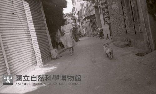 1950至2006年臺灣常民生活藏品圖，第1張