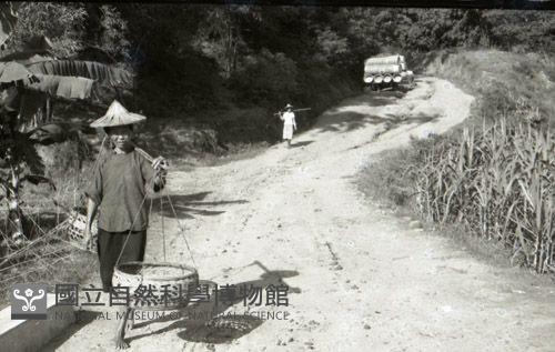 1950至2006年臺灣常民生活藏品圖，第1張