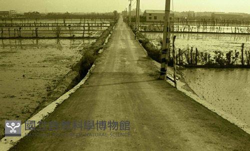 1950至2006年臺灣常民生活藏品圖，第1張