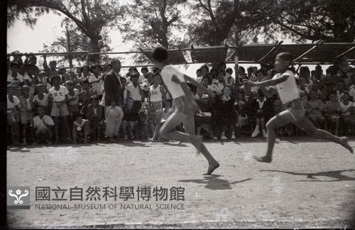 1950至2006年台灣常民生活藏品圖，第1張
