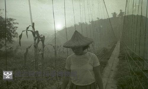1950至2006年臺灣常民生活藏品圖，第1張