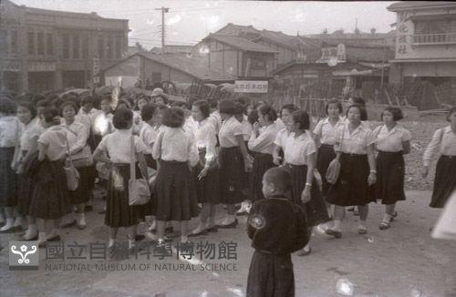 1950至2006年臺灣常民生活藏品圖，第1張