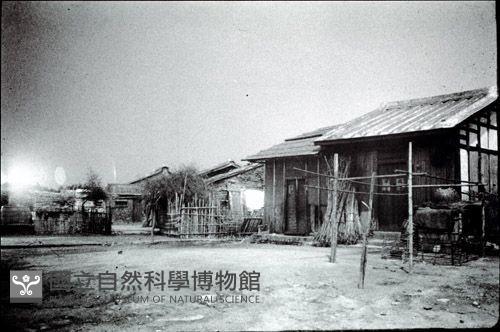 Accession Number:MP2007021265 Collection Image