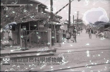 1950至2006年臺灣常民生活藏品圖，第1張
