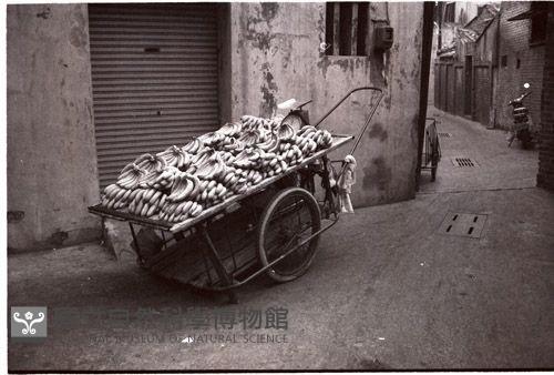 1950至2006年臺灣常民生活藏品圖，第1張