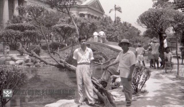 1950至2006年臺灣常民生活藏品圖，第1張