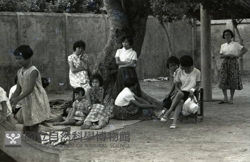 1950至2006年臺灣常民生活藏品圖，第1張