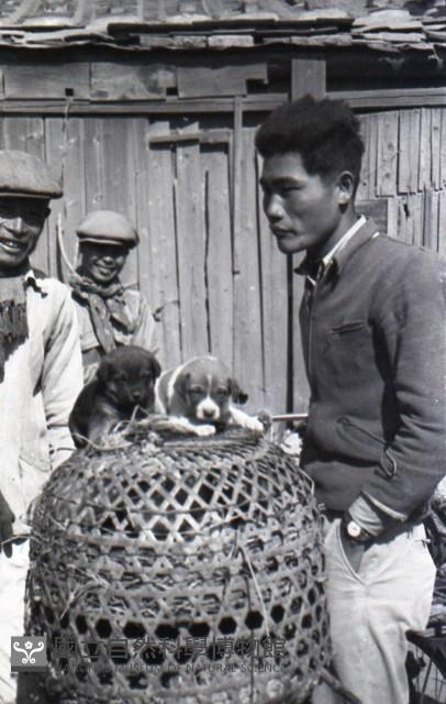 1950至2006年臺灣常民生活藏品圖，第1張