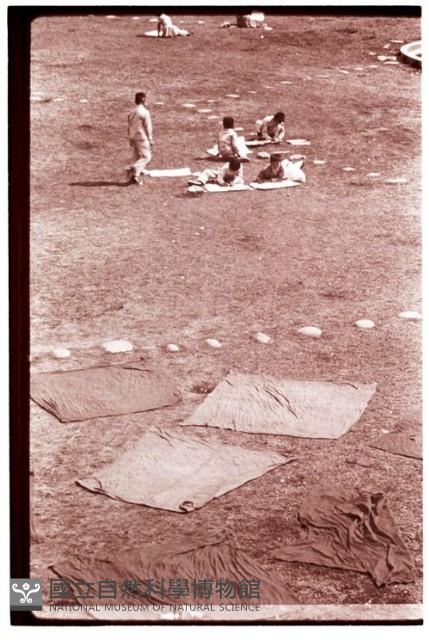 1950至2006年臺灣常民生活藏品圖，第1張