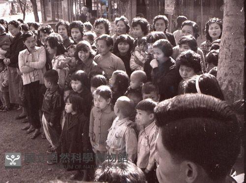 1950至2006年台灣常民生活藏品圖，第1張