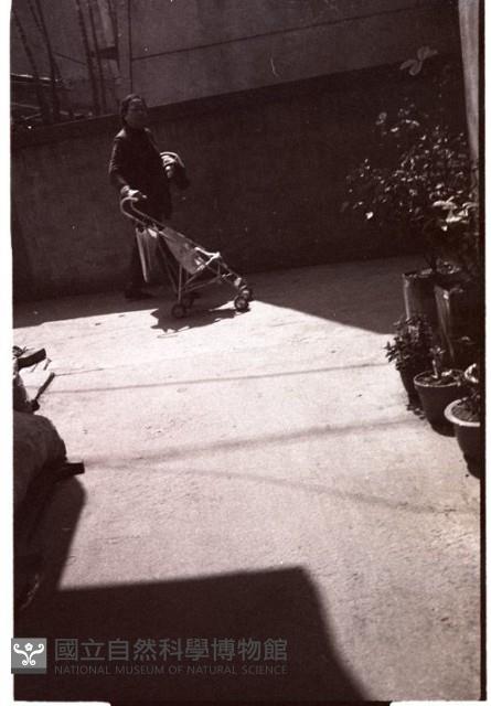 1950至2006年臺灣常民生活藏品圖，第1張