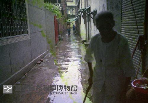 1950至2006年臺灣常民生活藏品圖，第1張