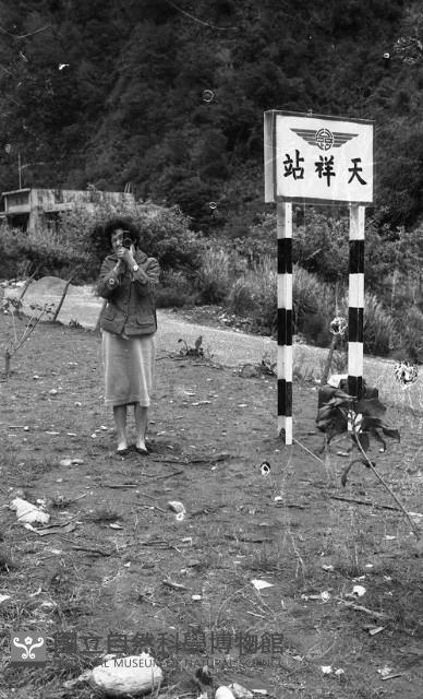Accession Number:MP2007008165 Collection Image