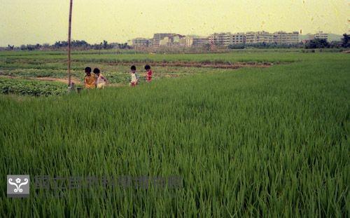 1950至2006年臺灣常民生活藏品圖，第1張