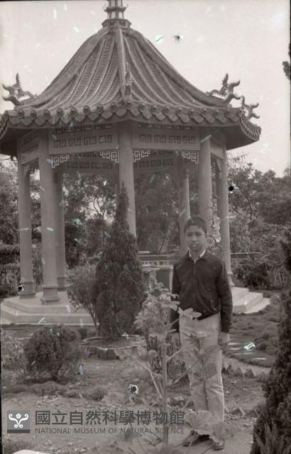 1950至2006年臺灣常民生活藏品圖，第1張