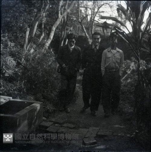1950至2006年臺灣常民生活藏品圖，第1張