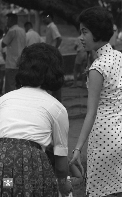 1950至2006年臺灣常民生活藏品圖，第1張