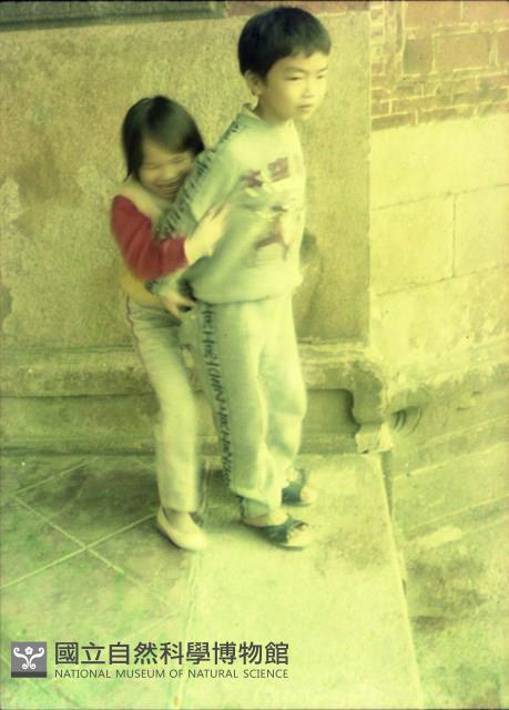 1950至2006年臺灣常民生活藏品圖，第1張