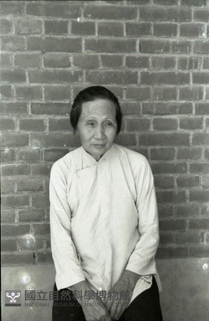 1950至2006年臺灣常民生活藏品圖，第1張