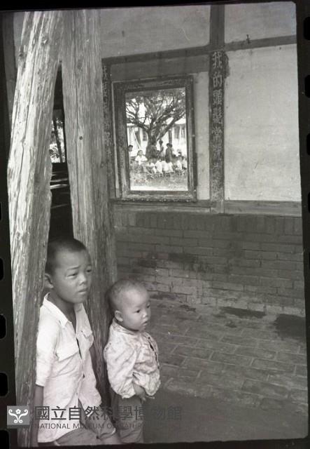 1950至2006年臺灣常民生活藏品圖，第1張