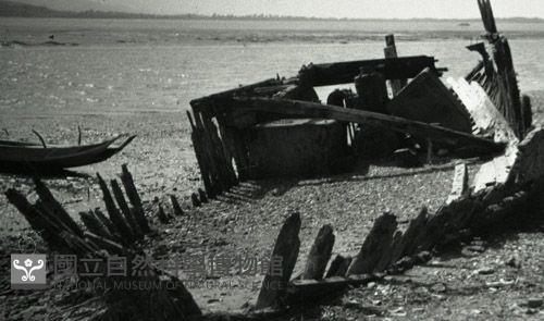 1950至2006年臺灣常民生活藏品圖，第1張